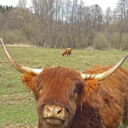 شقة Le Ptit Cosy Privatif