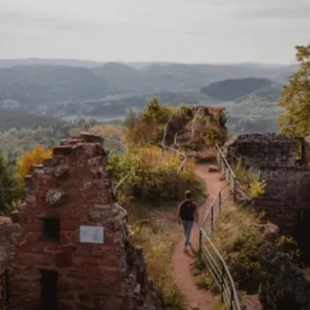 Le Ptit Cosy Privatif