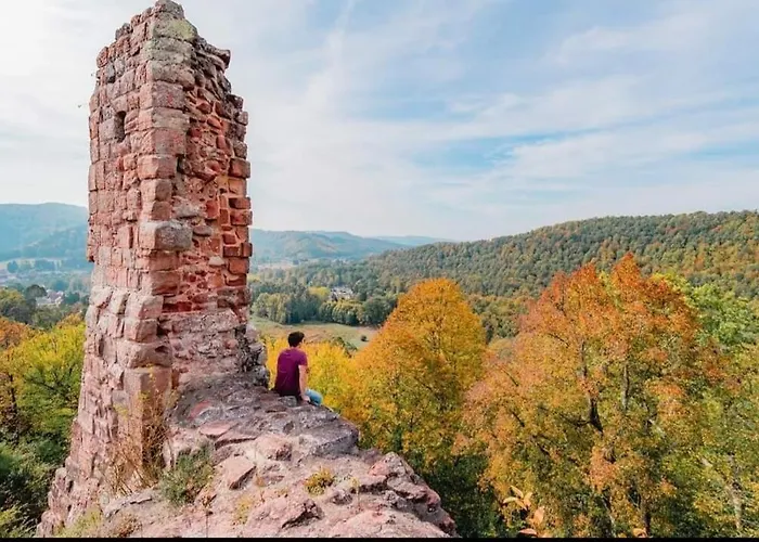 Le Ptit Cosy Privatif * Bining