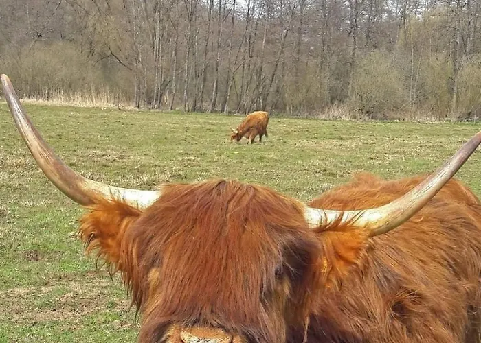 Apartment Le Ptit Cosy Privatif