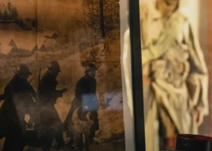 Le Ptit Cosy Privatif * Bining