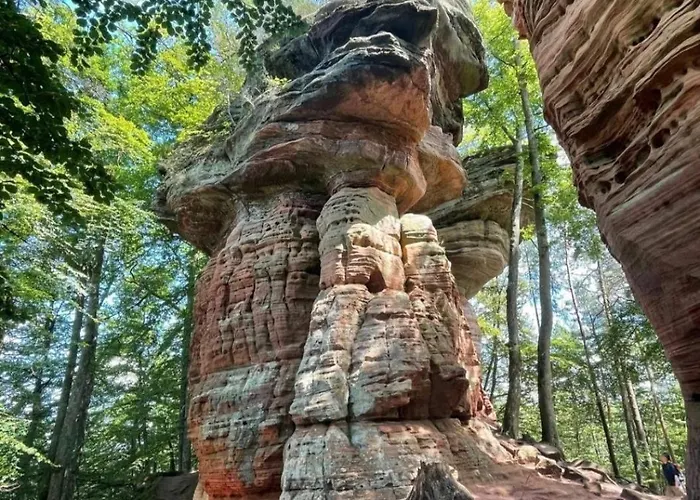 Apartment Le Ptit Cosy Privatif